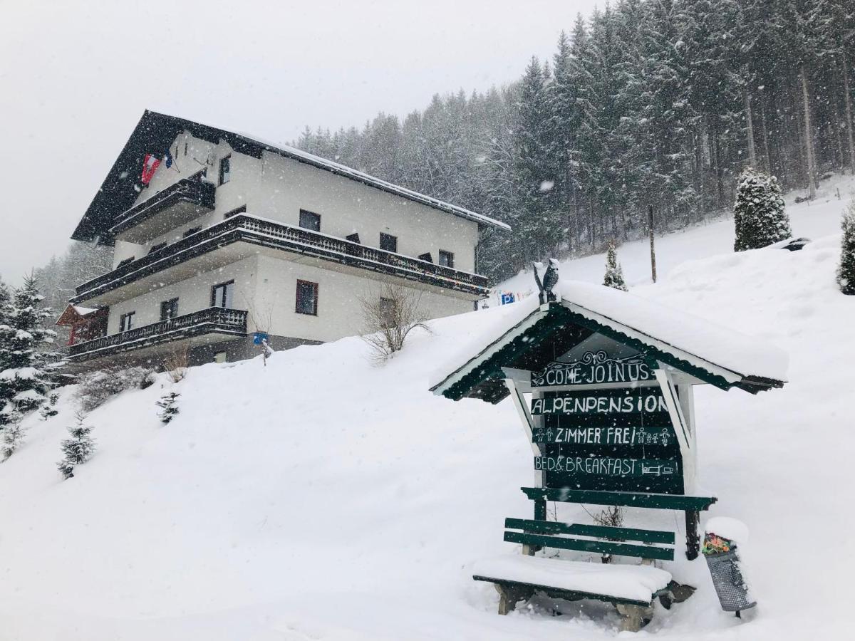 Alpenpension Affittacamere 2*