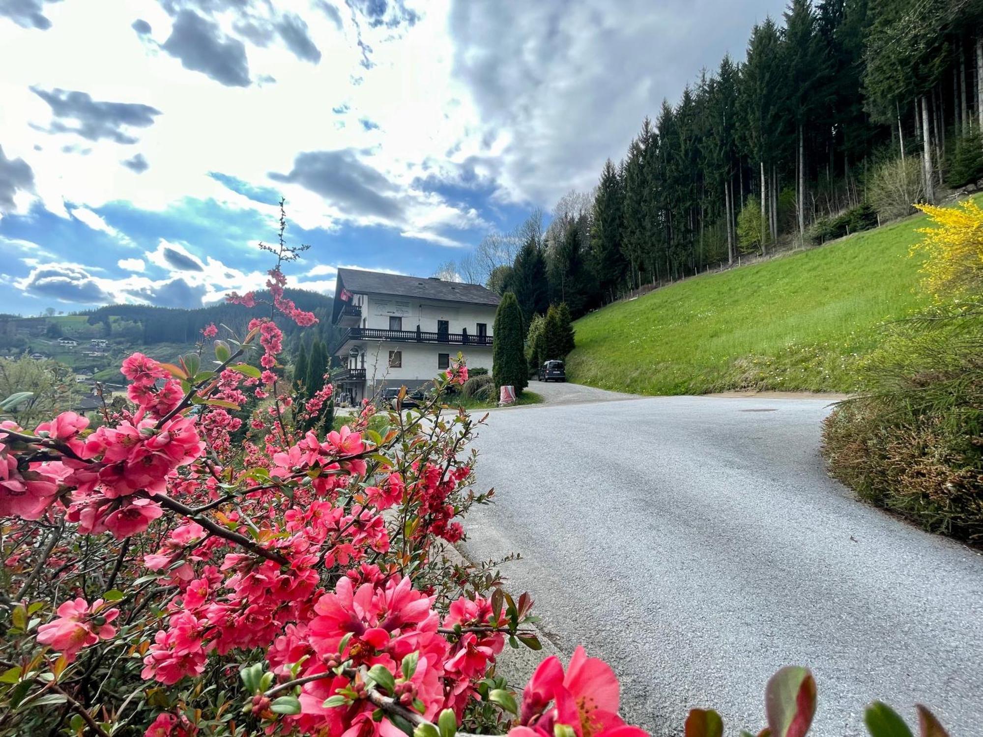 Alpenpension Ratten
